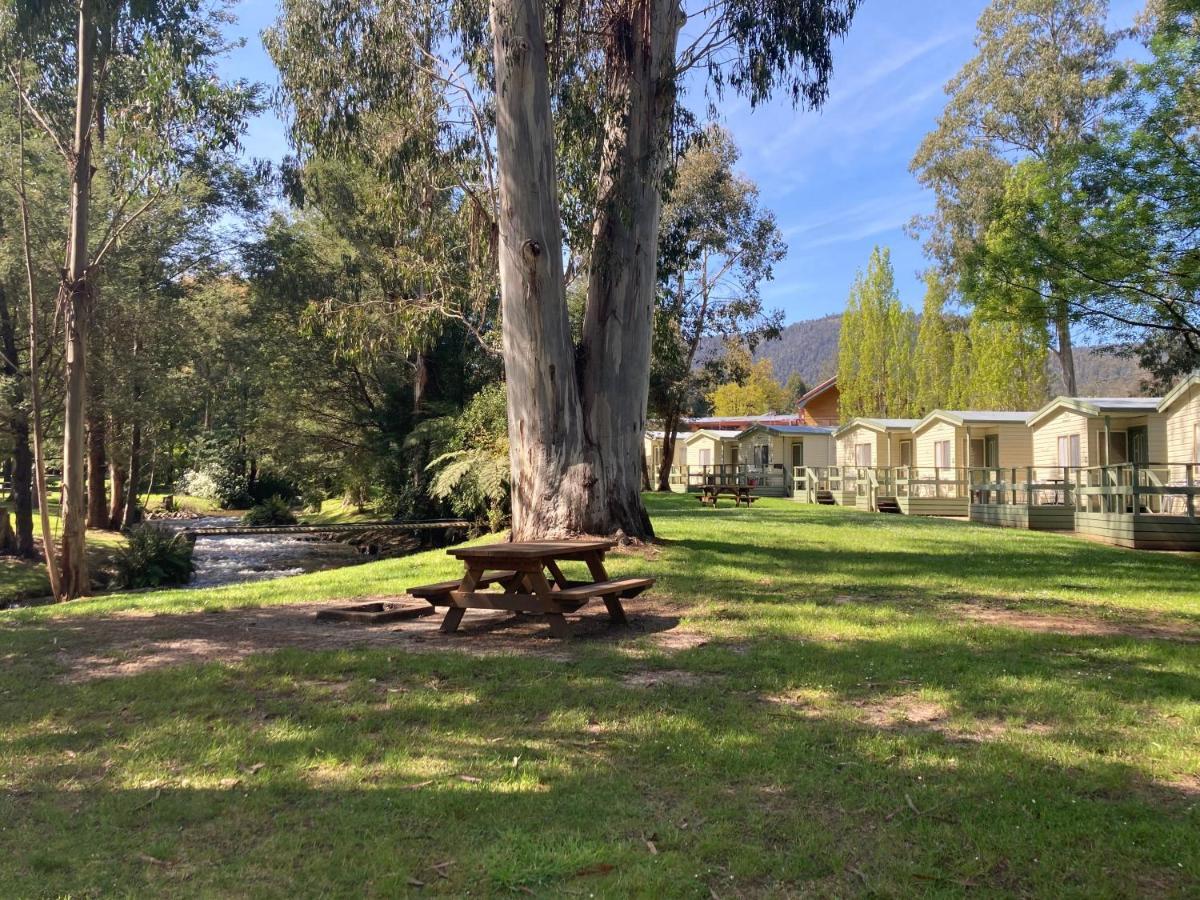 Marysville Holiday Park Εξωτερικό φωτογραφία