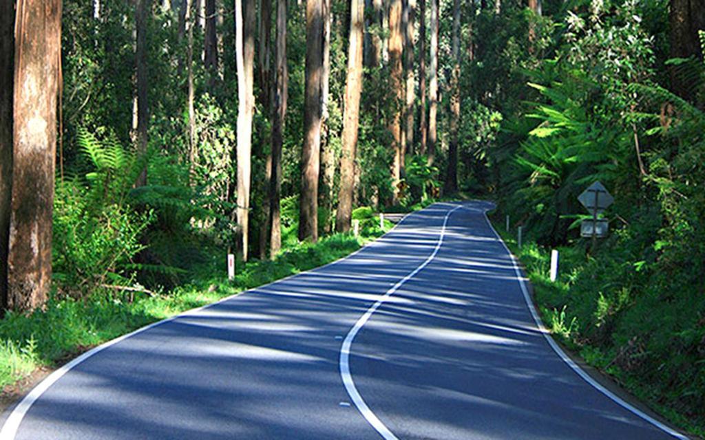 Marysville Holiday Park Εξωτερικό φωτογραφία